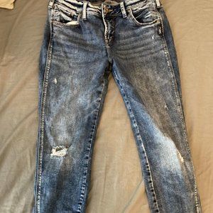 Sliver - Slightly Ripped Skinny Ankle Jeans